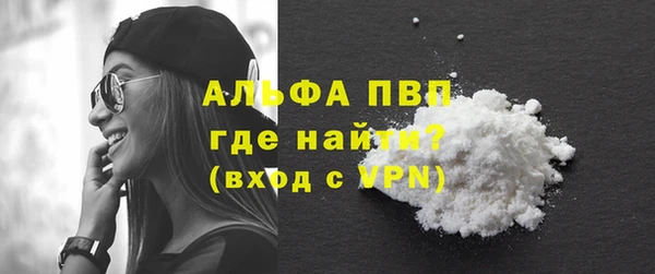 прущие грибы Балабаново