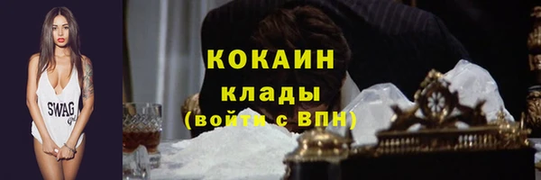 стаф Баксан