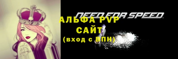 стаф Баксан