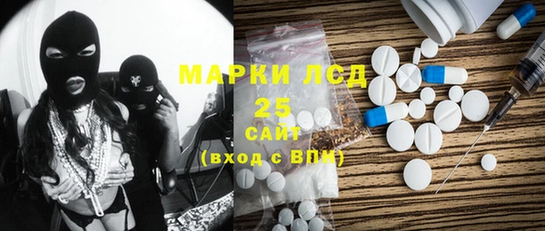 прущие грибы Балабаново