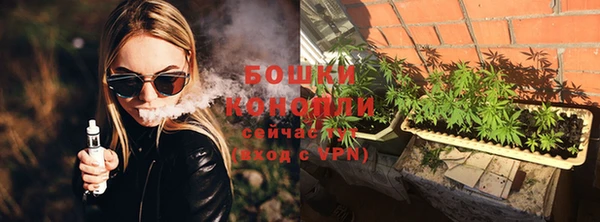 прущие грибы Балабаново